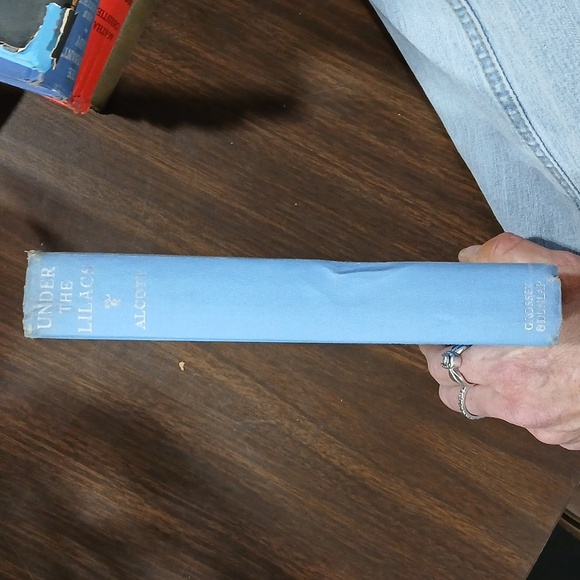 Under the Lilacs by Louisa May Alcott 1928 - Picture 2 of 8